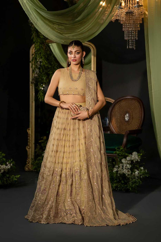 GRACE – Beige Embroidered Net Lehnga Dress - SilkMotif