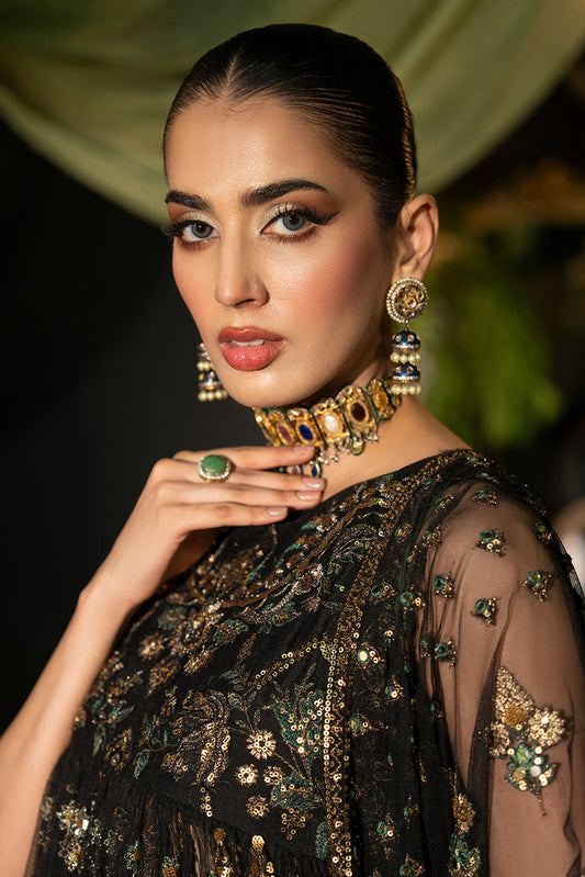 RANI – Black Embroidered Net Peshwaas  Suit - SilkMotif