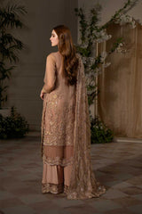 Serene – Mink Organza Embroidered  Suit - SilkMotif