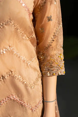 Timeless Charm – Heavy  Organza Suit