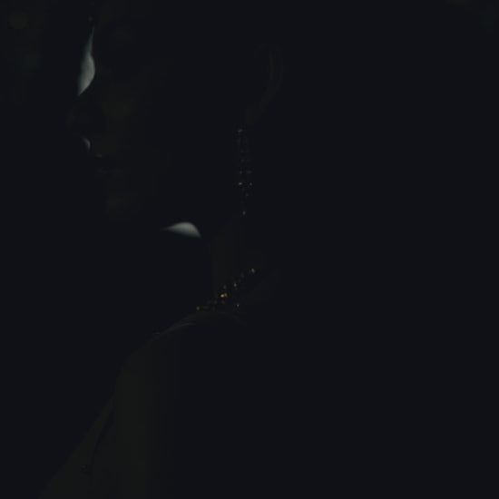 GRACE – Beige Embroidered Net Lehnga Dress - SilkMotif